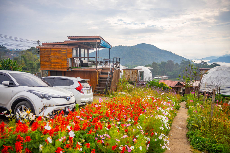Others 5, Rai Sai Morak, Mae Rim
