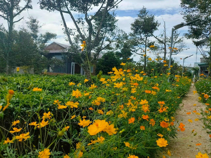 Public Area 2, Tea Garden House, Bảo Lộc