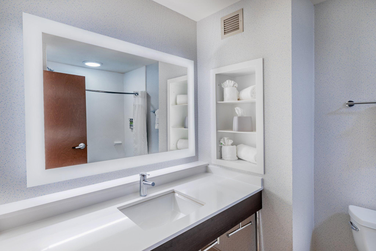 Bathroom 2, Holiday Inn Express Hotel & Suites Picayune By IHG, Pearl River