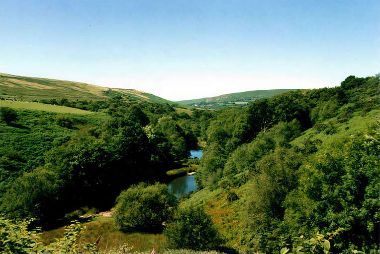 Others 5, Barn Cottage - Farm Park Stay with Hot Tub, BBQ & Fire Pit, Swansea