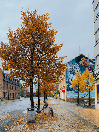 Exterior & Views 2, Home Hotel Christian IV, Kristianstad