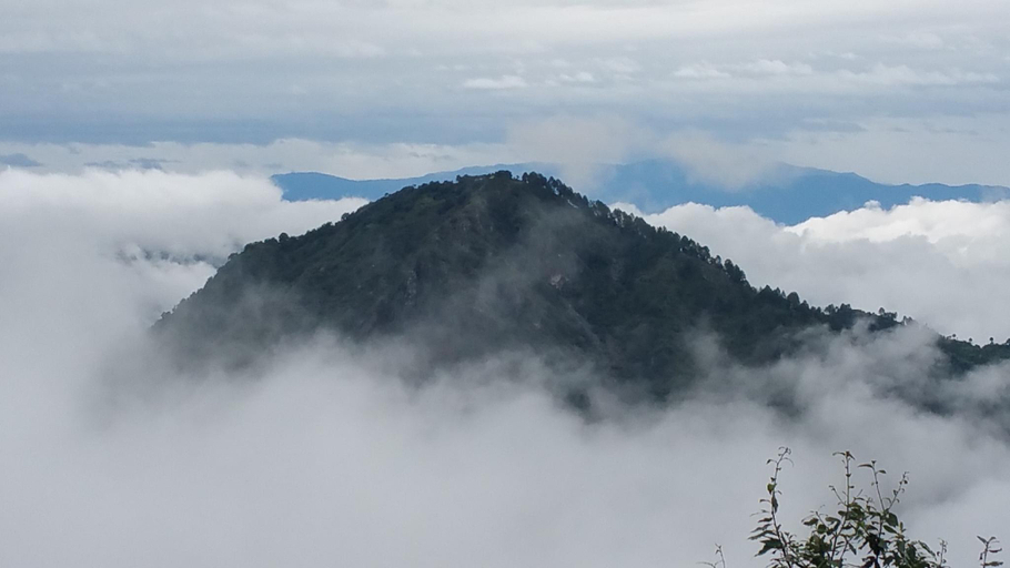 Others 4, Essence of Nature - A Wellness Based Luxury Resort, Almora