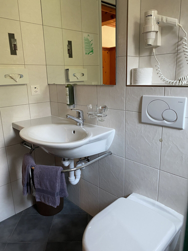 Bathroom 5, Adonis, Visp