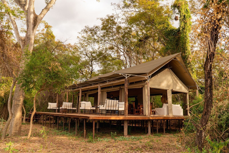 Exterior & Views, Glamping Los Palmares, Libertad