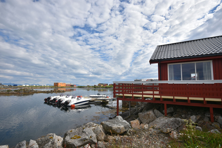 Exterior & Views 2, Lankanholmen Sea Cabins, Andøy