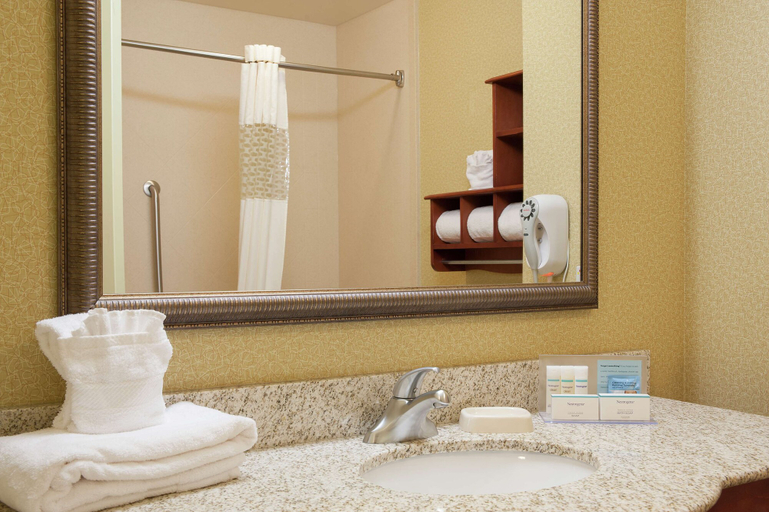 Bathroom 4, Hampton Inn Macomb, McDonough