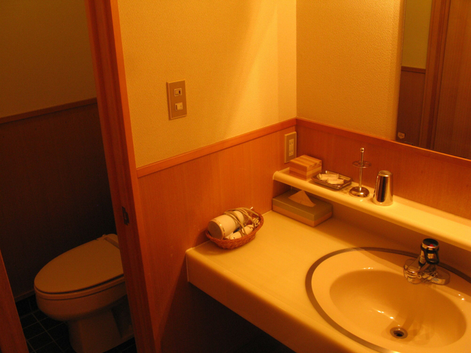 Bathroom 3, White Horse Hotel, Hakuba