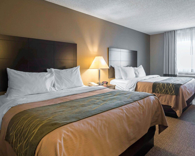 Bedroom 3, Comfort Inn Saugerties, Ulster