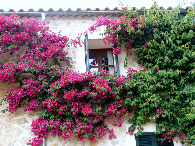 Exterior & Views 2, Hotel Rural S'Olivaret & Spa, Baleares