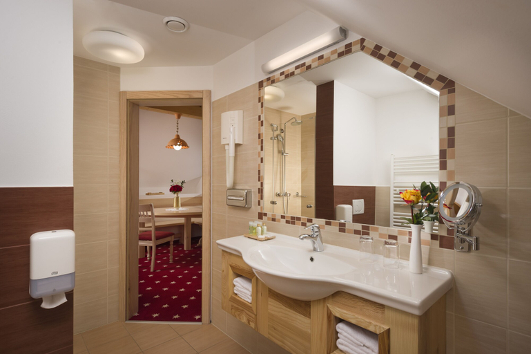Bathroom 3, Hotel Planinka, Ljubno