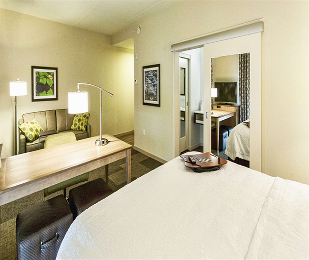 Bedroom 3, Hampton Inn Hibbing, Saint Louis