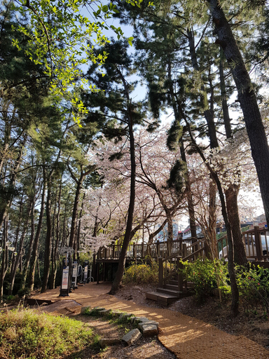 Others 5, Suntree Hotel, Haeundae