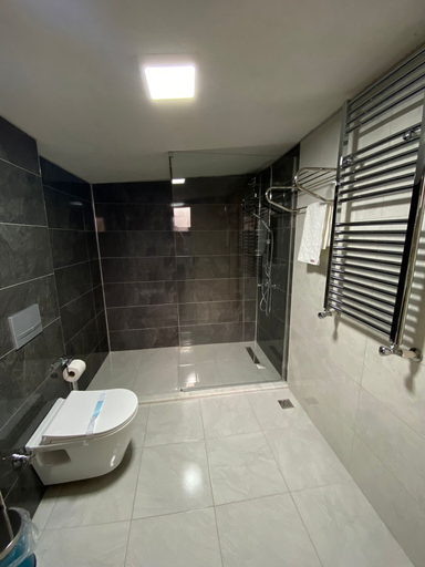 Bathroom, Berona Dağ Evleri, Çamlıhemşin
