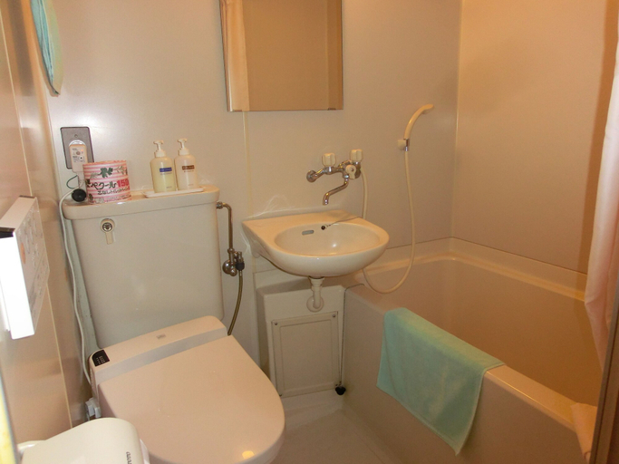 Bathroom 5, Hoshokaku, Takayama