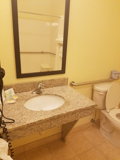 Bathroom 4, Comfort Inn & Suites Northeast - Gateway, Pinellas