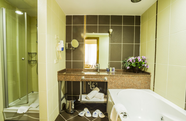 Bathroom 5, Ridos Thermal Hotel Spa, İkizdere
