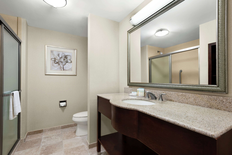 Bathroom 4, Hampton Inn & Suites Brunswick, Glynn
