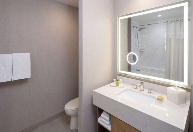 Bathroom 4, Hilton Houston North, Houston
