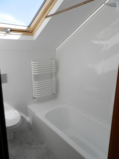 Bathroom 5, OW Sargus, Puck