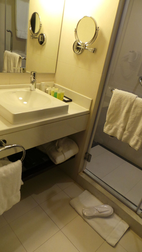 Bathroom 4, Amman Airport Hotel, Jizeh