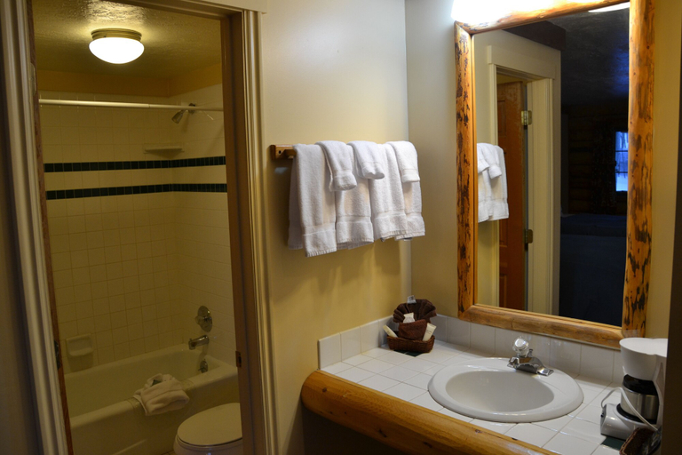 Bathroom 4, Daniels Summit Lodge, Wasatch