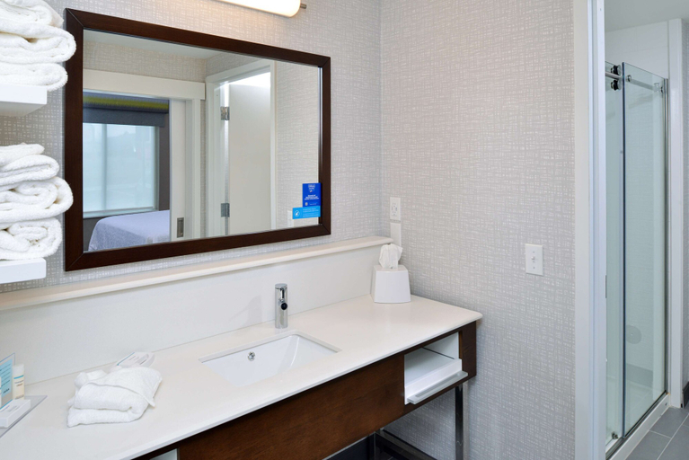 Bathroom 4, Hampton Inn & Suites Adrian, Lenawee