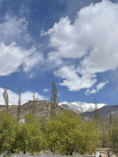 Others 3, Hotel DZI Ladakh , Leh, Leh
