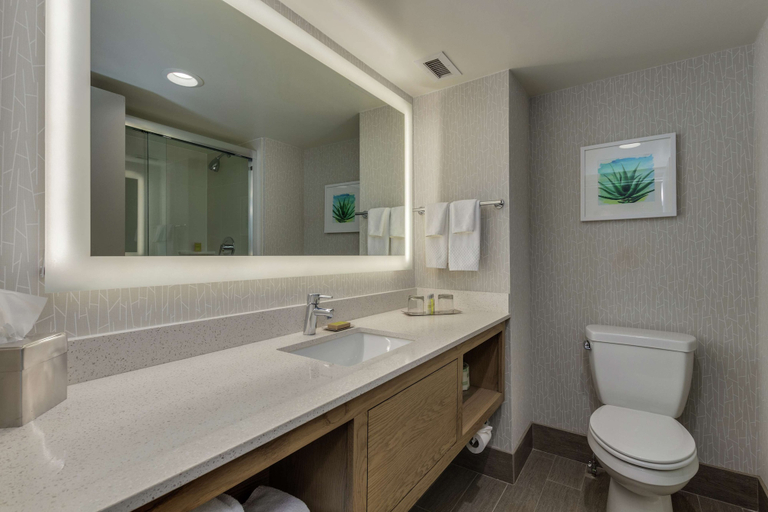 Bathroom 5, DoubleTree by Hilton Phoenix Chandler, Maricopa