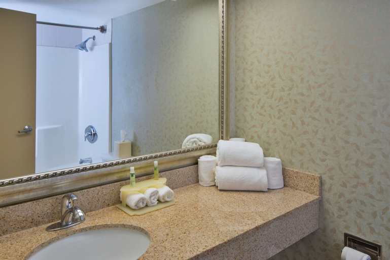 Bedroom 5, Holiday Inn Express EXTON - GREAT VALLEY, Chester