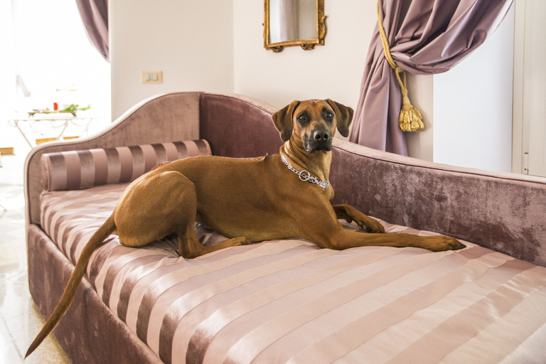 Bedroom 3, Trastevere Royal Suite, Rome