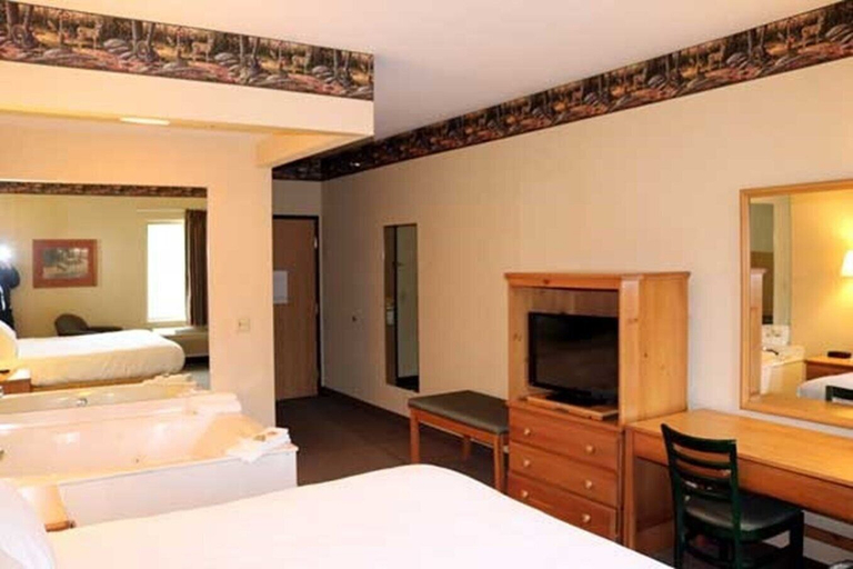 Bedroom 3, Pellston Lodge Magnuson Hotel, Emmet