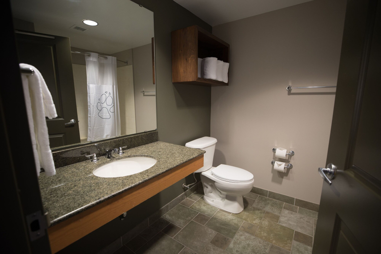 Bathroom 3, Great Wolf Lodge Bloomington, Hennepin