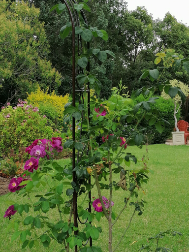 Others 5, Aanhuizen, Overberg