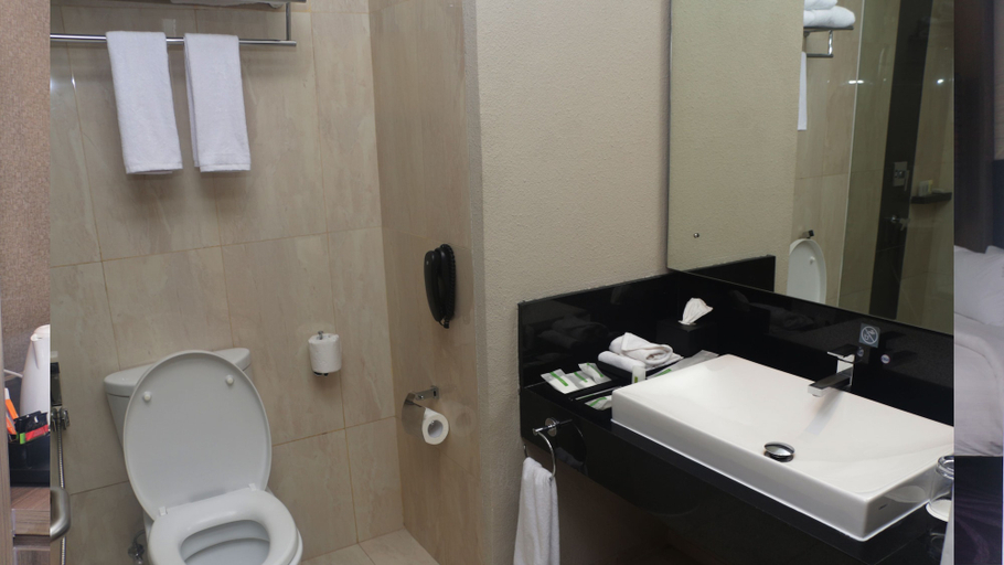 Bathroom 5, Holiday Inn BANDUNG PASTEUR by IHG, Bandung