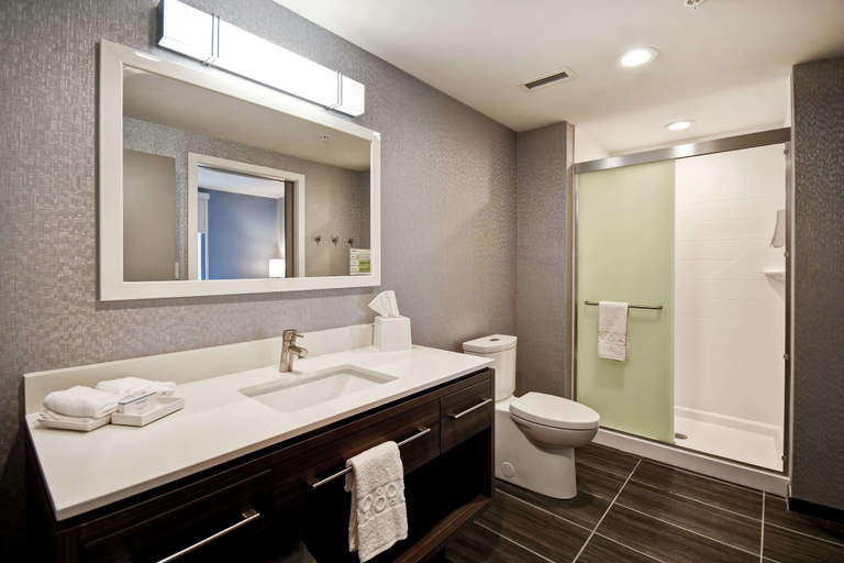 Bathroom 4, Home2 Suites by Hilton Georgetown, Scott