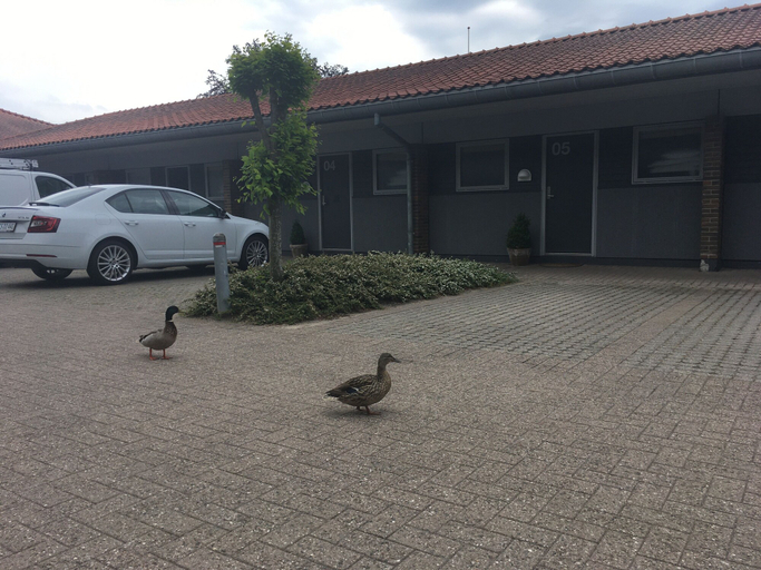 Exterior & Views 2, Hotel Christiansminde, Svendborg