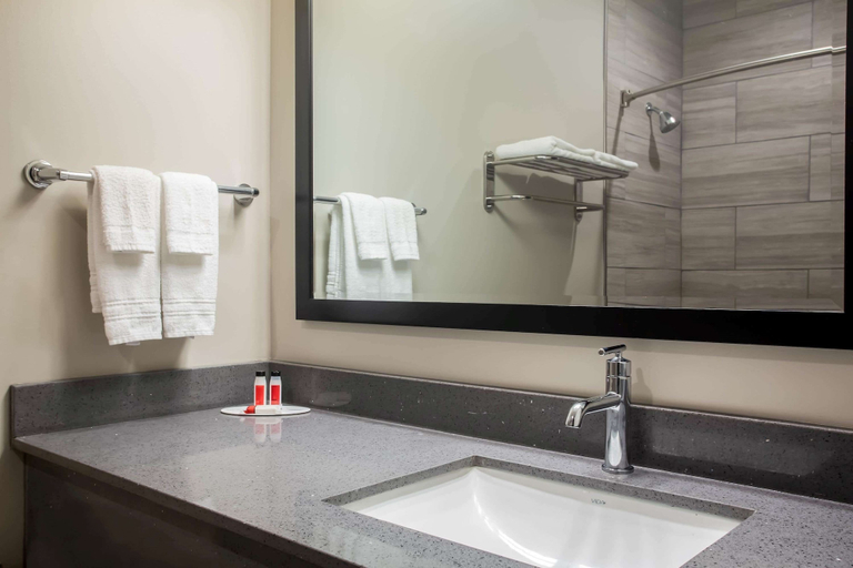 Bathroom 4, Super 8 by Wyndham St. Louis North, Saint Louis