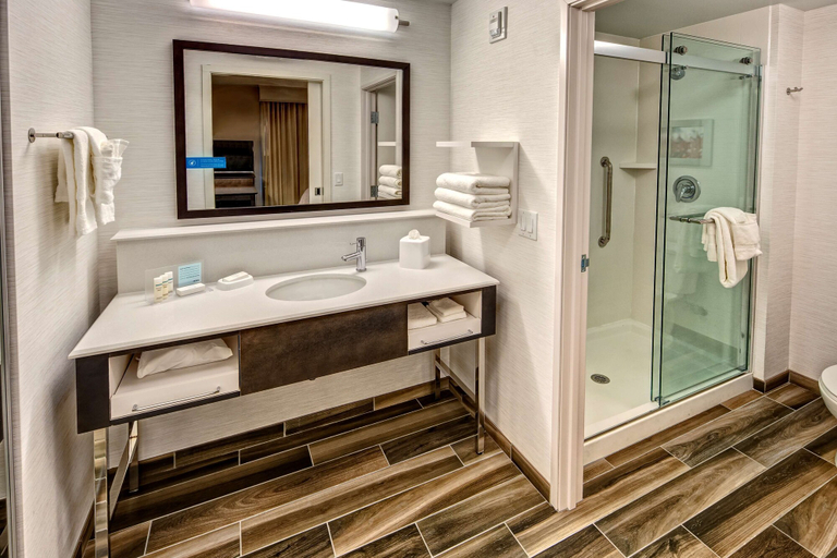 Bathroom 4, Hampton Inn & Suites Franklin Berry Farms, Williamson