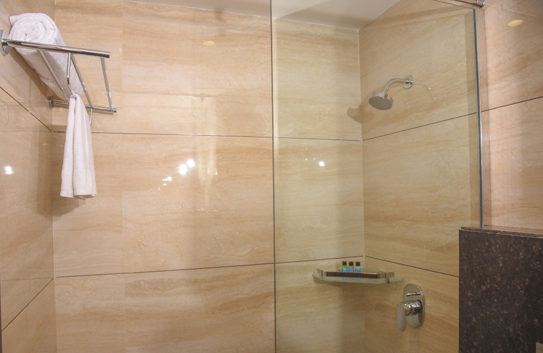 Bathroom 3, Bharawan Clarks Inn Express , Amritsar