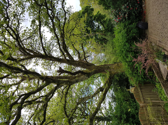 Others 5, Meadow Oak, Cornwall