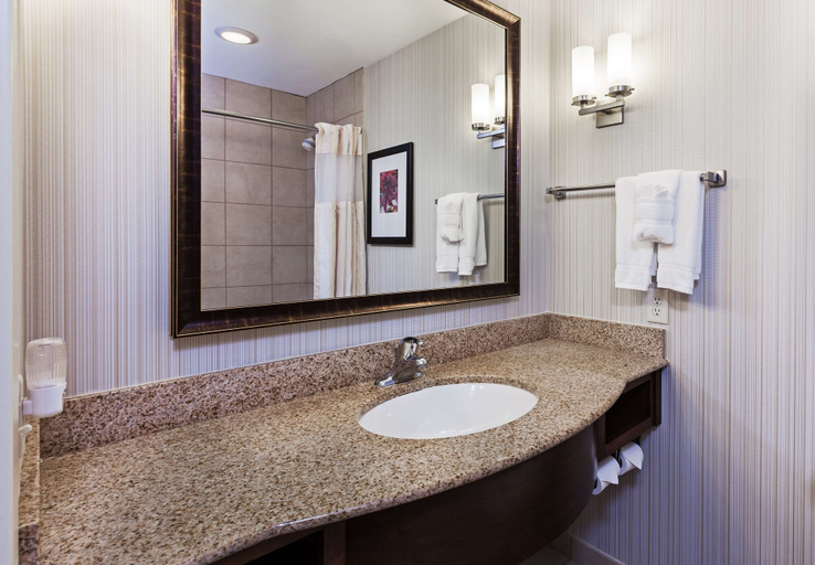 Bathroom 5, Hilton Garden Inn Corpus Christi, Nueces