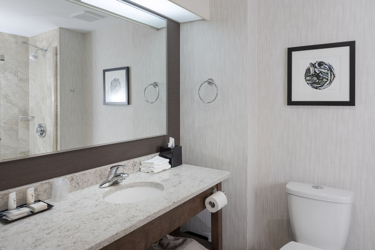 Bathroom 4, Quality Hotel, Division No. 7