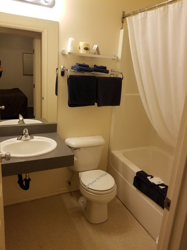 Bathroom 3, Canadas Best Value Inn Fort St. John, Peace River