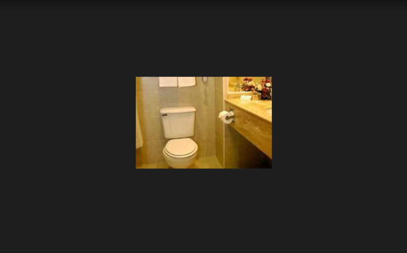 Bathroom, Hotel Diego De Almagro Talca, Talca