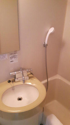 Bathroom 4, Plaza Hotel Fujinoi, Hita