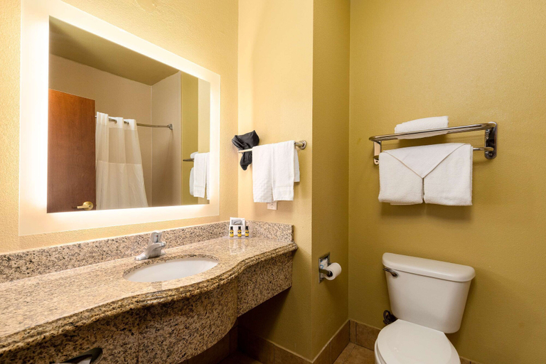 Bathroom 3, Best Western Plus Portland, San Patricio