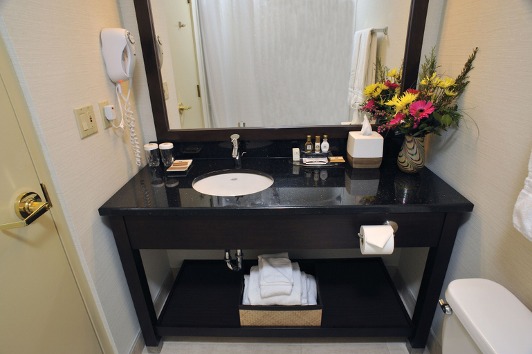 Bathroom 4, Best Western Premier Denham Inn & Suites, Division No. 11