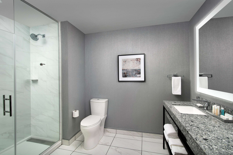 Bathroom 5, Embassy Suites by Hilton Knoxville Downtown, Knox