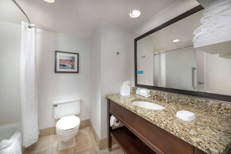 Bathroom 5, Hampton Inn Tuscaloosa-East , Tuscaloosa