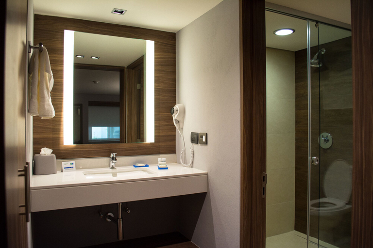 Bathroom 5, Holiday Inn Express MORELIA by IHG, Morelia